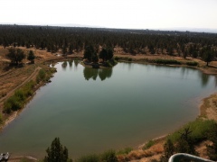 4 acre pond1