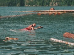 logs-1024x674